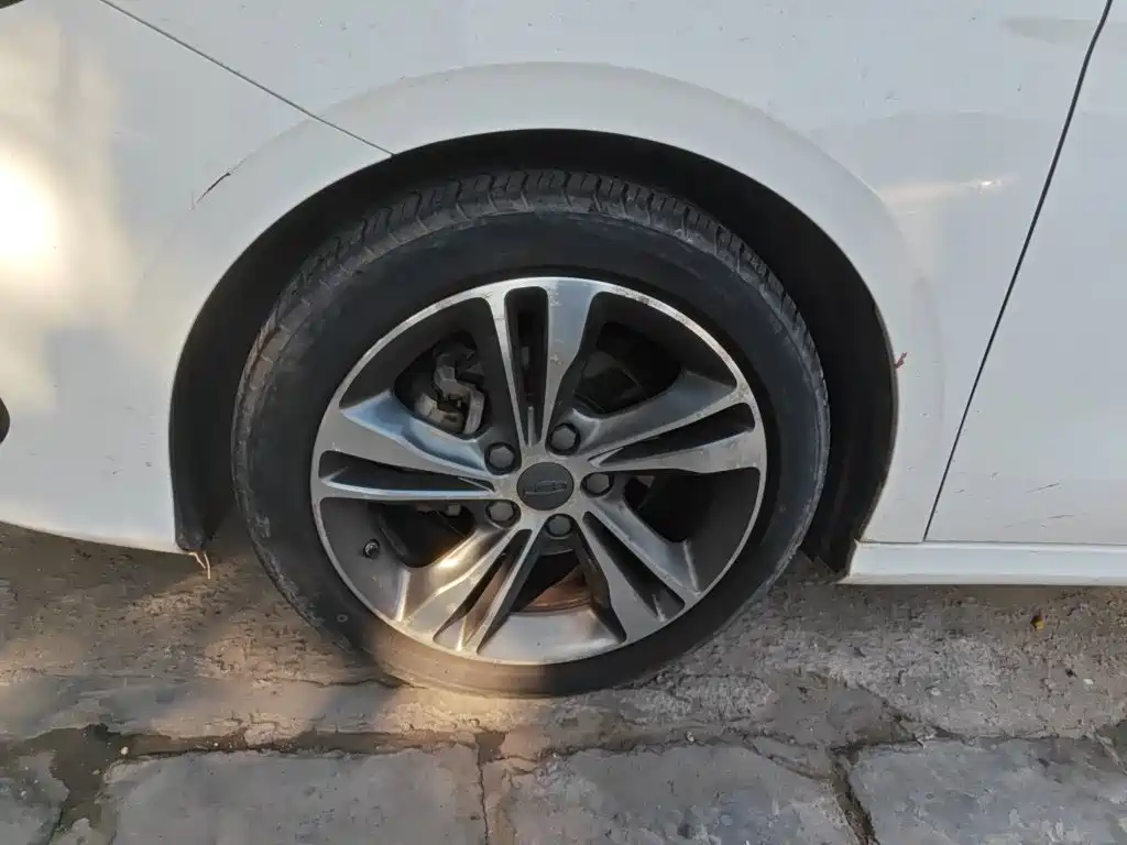 Фото 25 - Geely Binrui