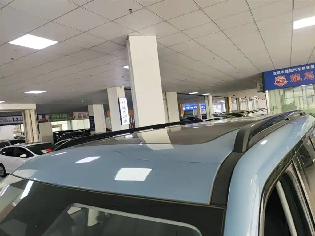 FANG CHENG BAO LEOPARD 5