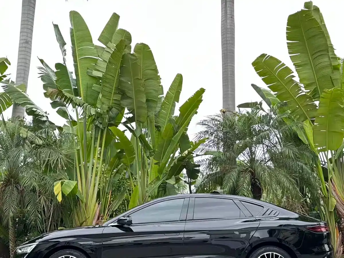 BYD HAN