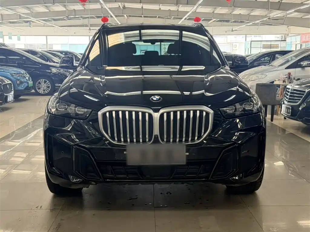 BMW X5 2023 xDrive 30Li Premium M Sport Black Night Package фото 13
