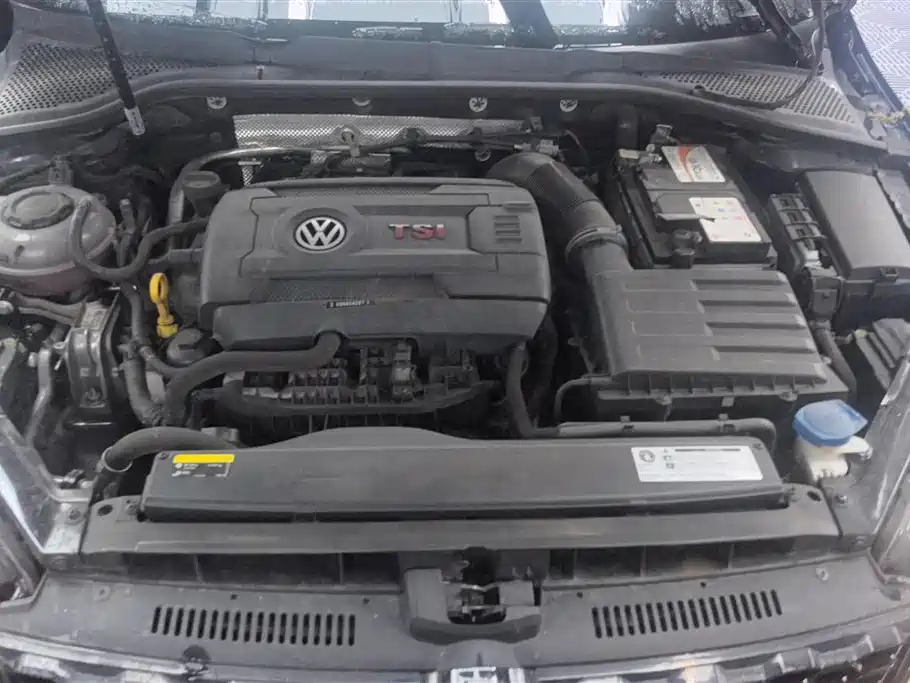 Volkswagen Golf GTI 2018 2.0TSI GTI фото 10