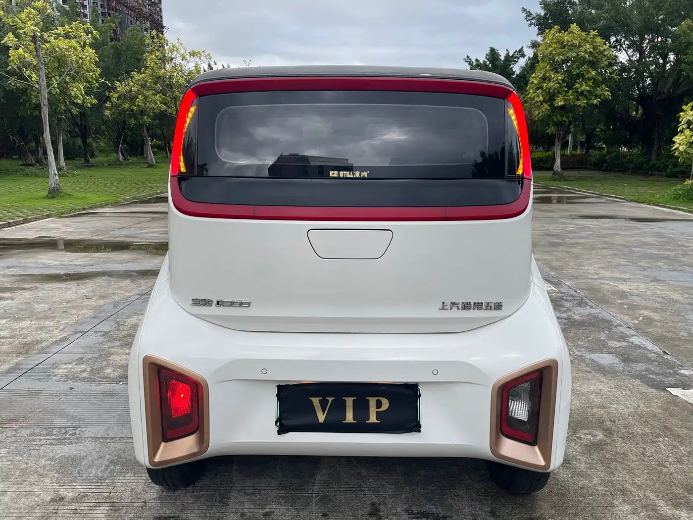 Baojun E200 2020 2020 305KM Smart Enjoyment Edition