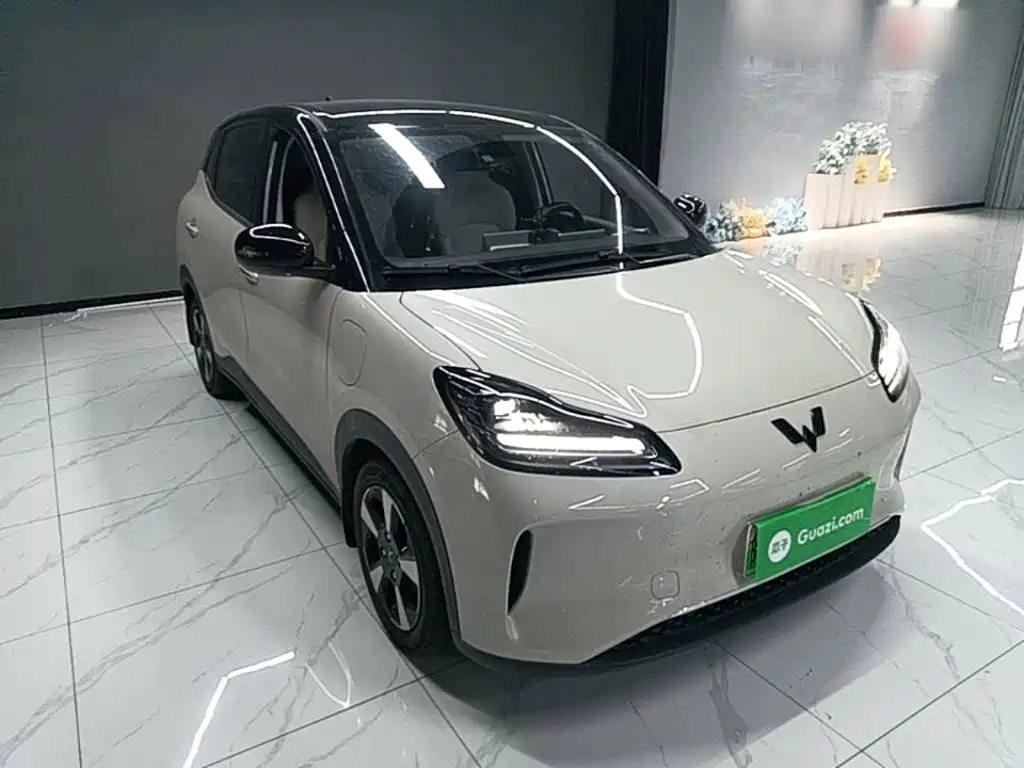 Wuling Motors Wuling Binguo PLUS 2024 2024 Model 330km 5-Seater