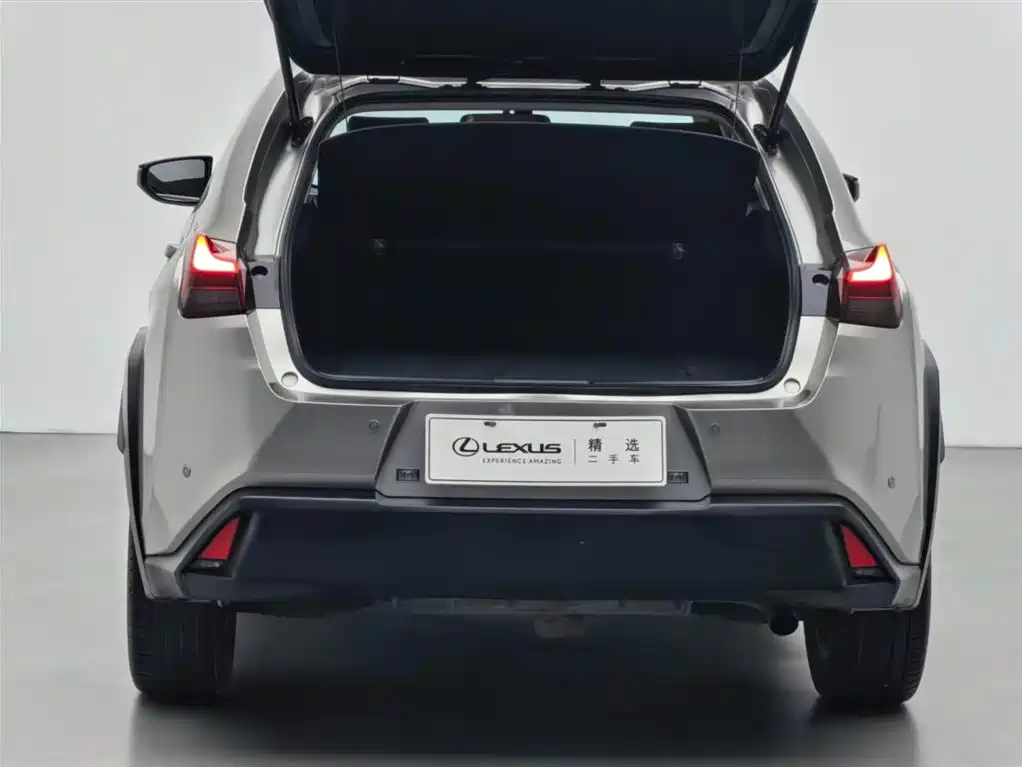 Lexus UX 2020 260h Explore Cool Edition фото 16