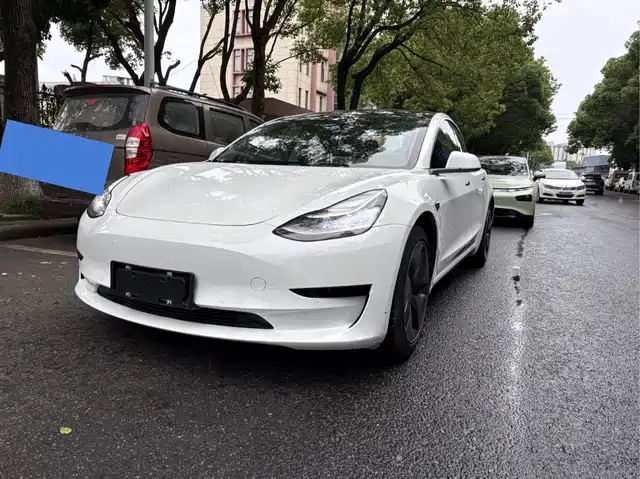 Tesla Model 3 (Import) 2019 Standard Range RWD Upgraded Edition