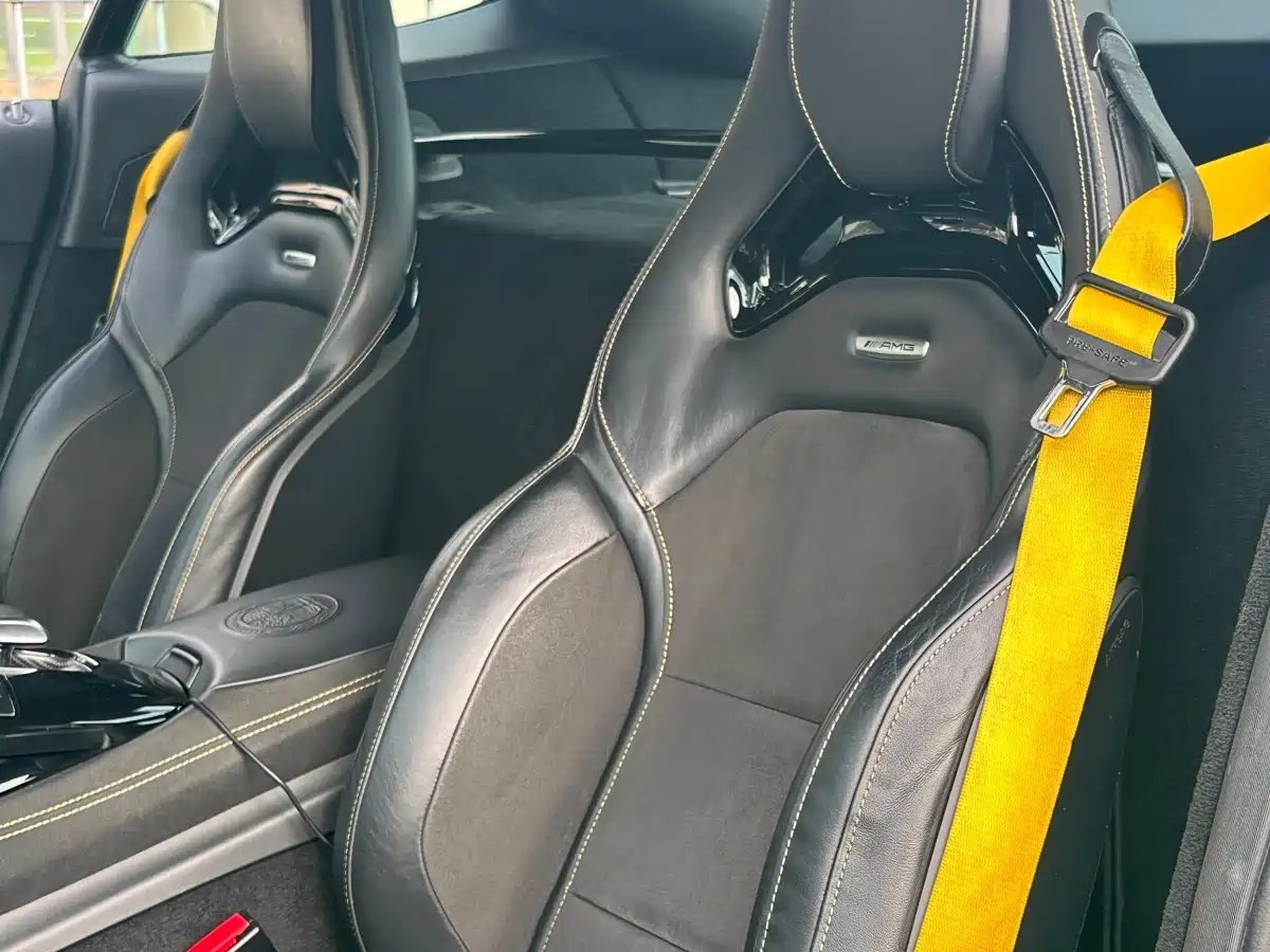 Mercedes-Benz AMG GT 2019 AMG GT R фото 10