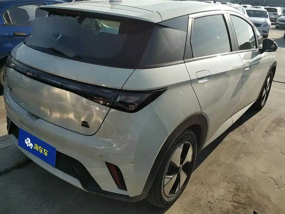 BYD Dolphin 2024 Glory Edition 420km Freedom Edition фото 3