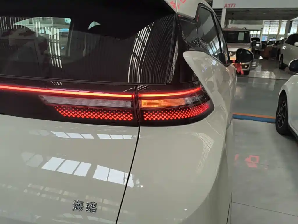 BYD Seagull 2026 2025 Smart Drive Edition 305km Vitality Version