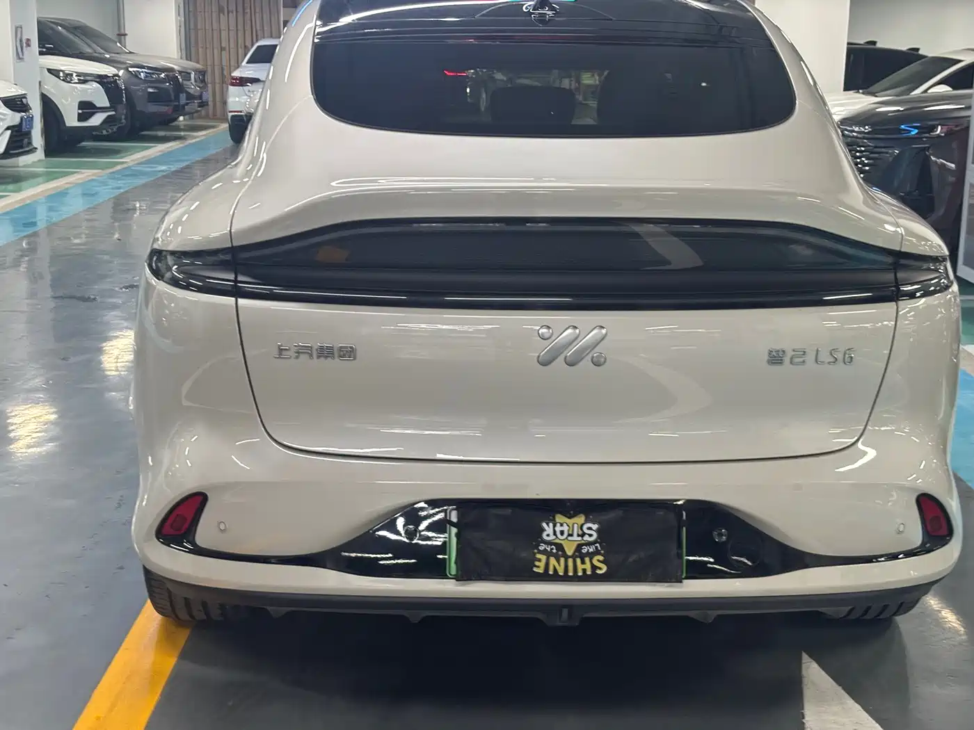 ZHIJI AUTOMOBILE ZHIJI LS6