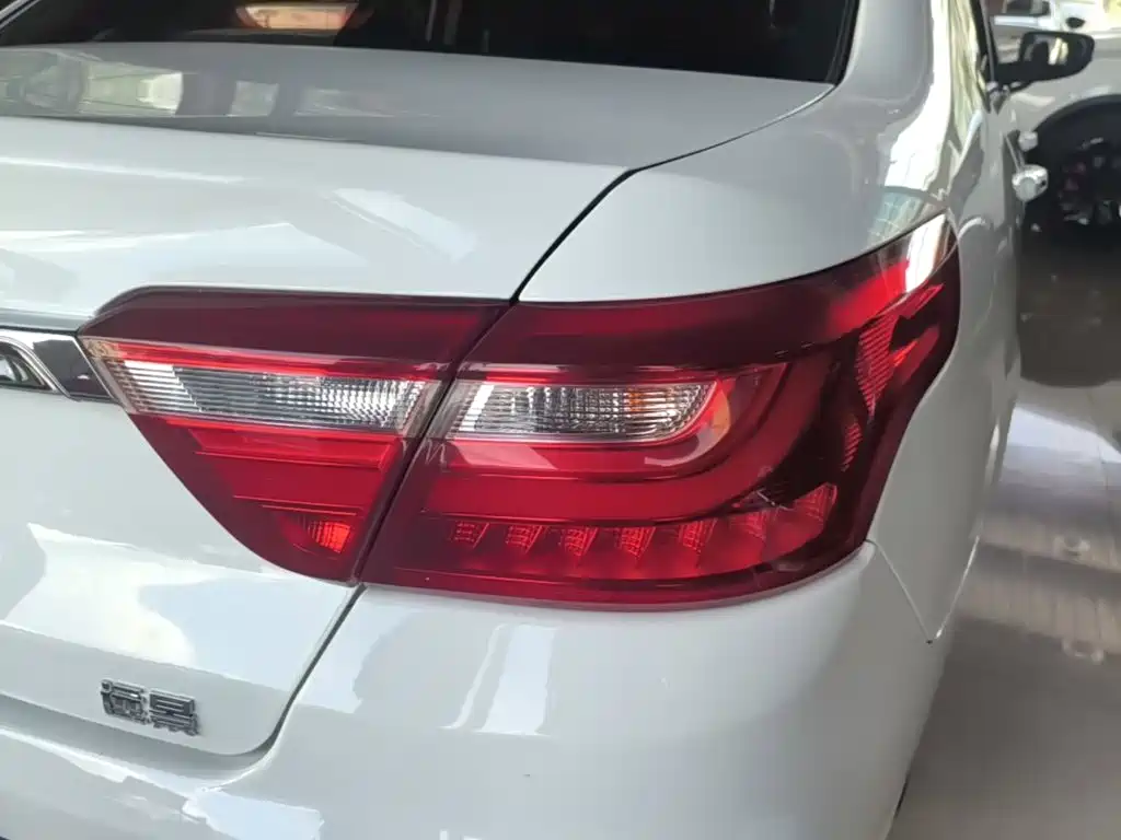 Фото 8 - Geely Vision