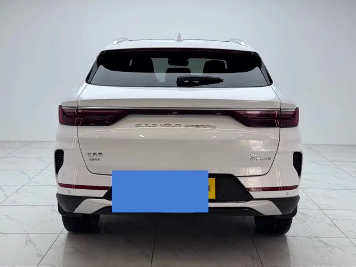 BYD Song PLUS PHEV 2021 DM-i 51KM Honor фото 8