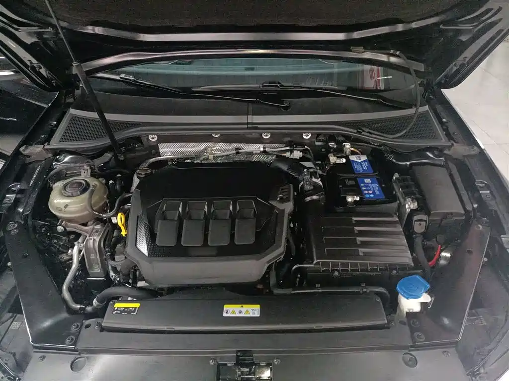 Volkswagen Magotan 2020 330TSI DSG Leading фото 17