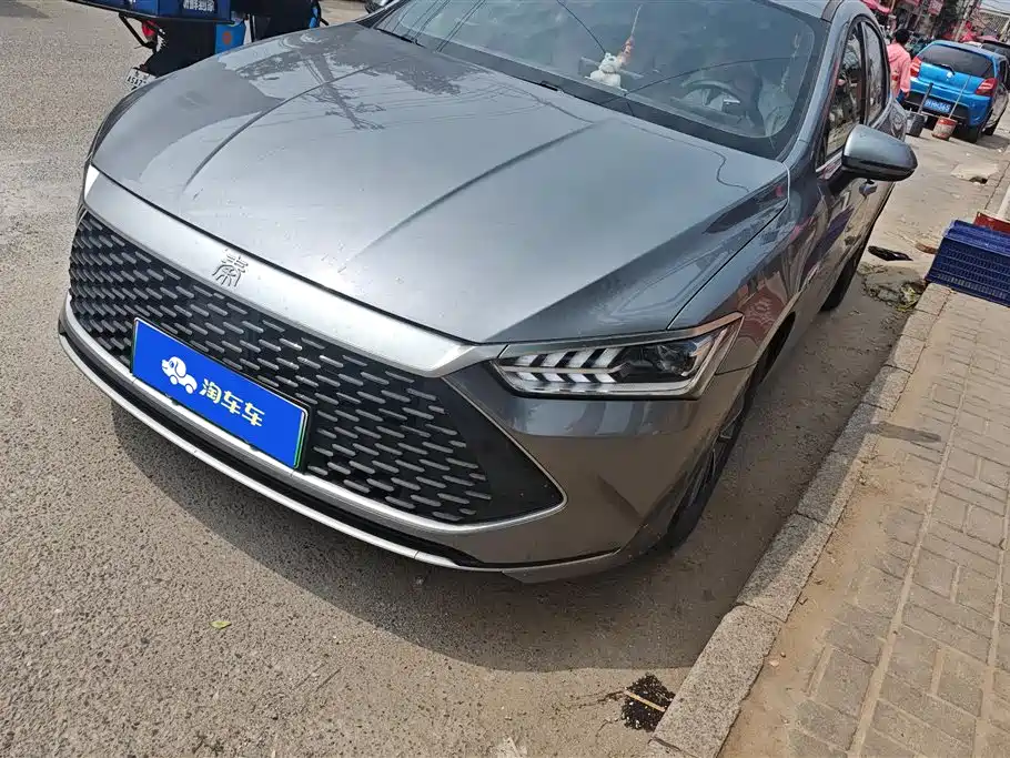 BYD Qin PLUS 2024 Glory Edition DM-i 55KM Leading