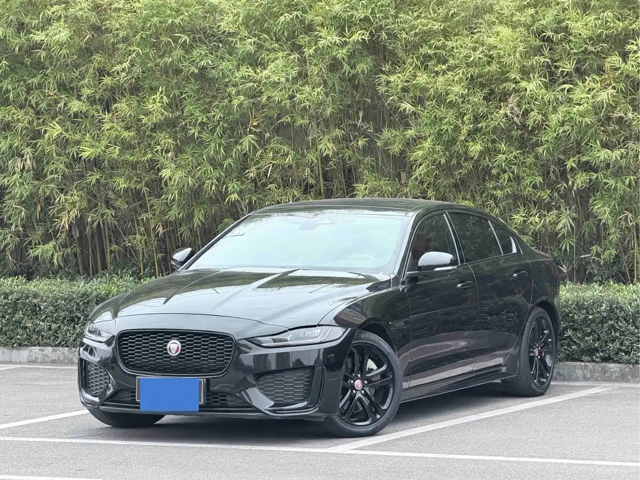 Jaguar XEL 2024 2024 Model 2.0T 250PS R-DYNAMIC S Progressive Sport Edition