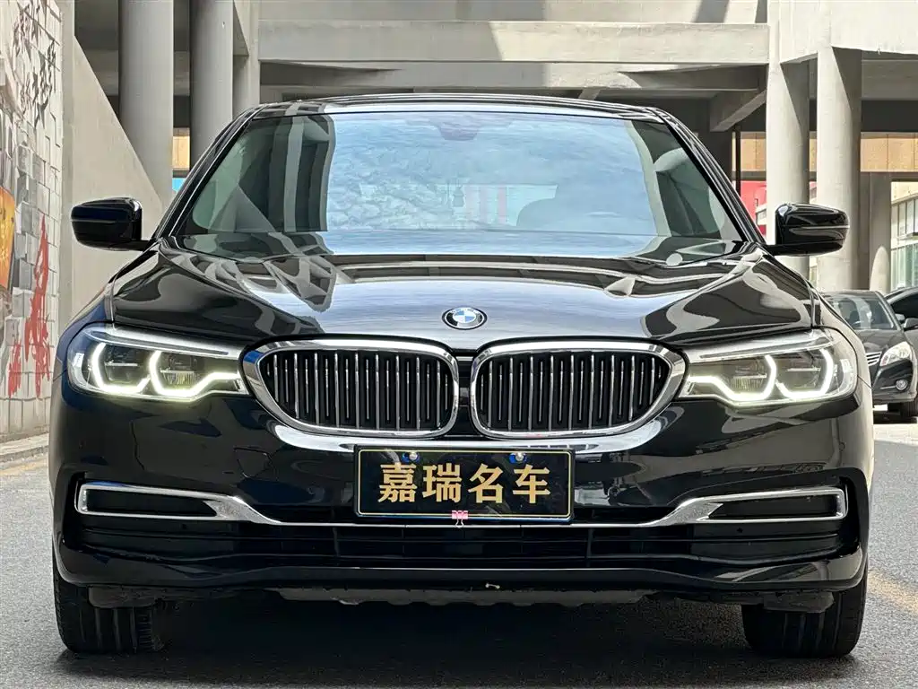 BMW 5 Series 2020 530Li xDrive Luxury Package фото 2