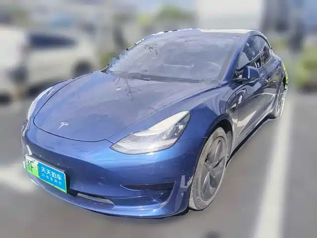 Tesla Model 3 2020 Standard Range Rear-Wheel Drive Upgrade — фото 1