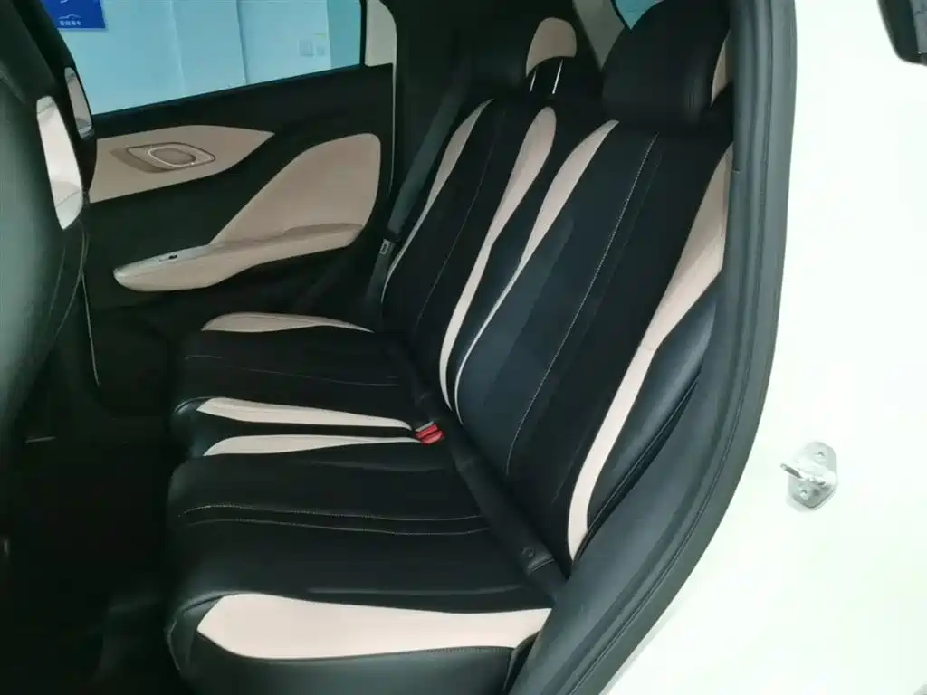 BYD Seagull 2025 305km Vitality фото 13