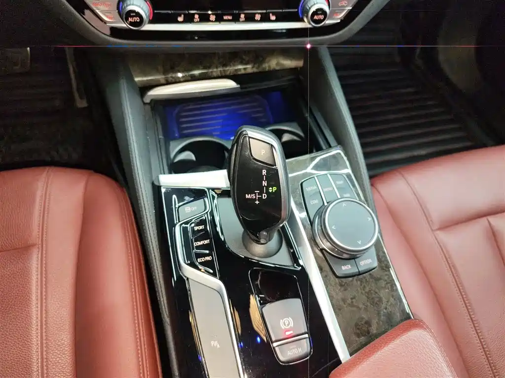 BMW 5 Series 2019 530Li Leading M Sport Package фото 14