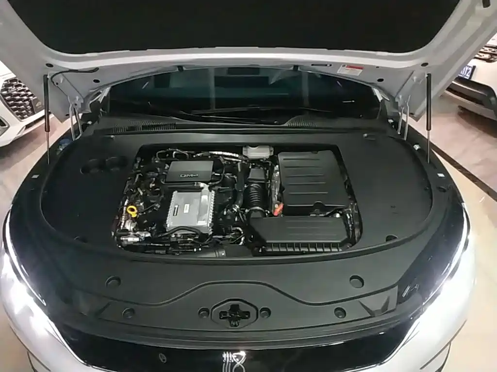 Photo 20 - BYD Han