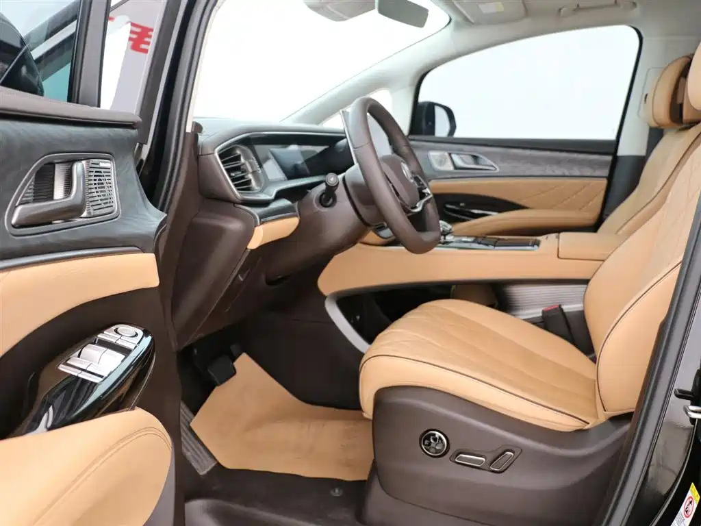 Denza D9 2024 DM-i 980 AWD Premium фото 9