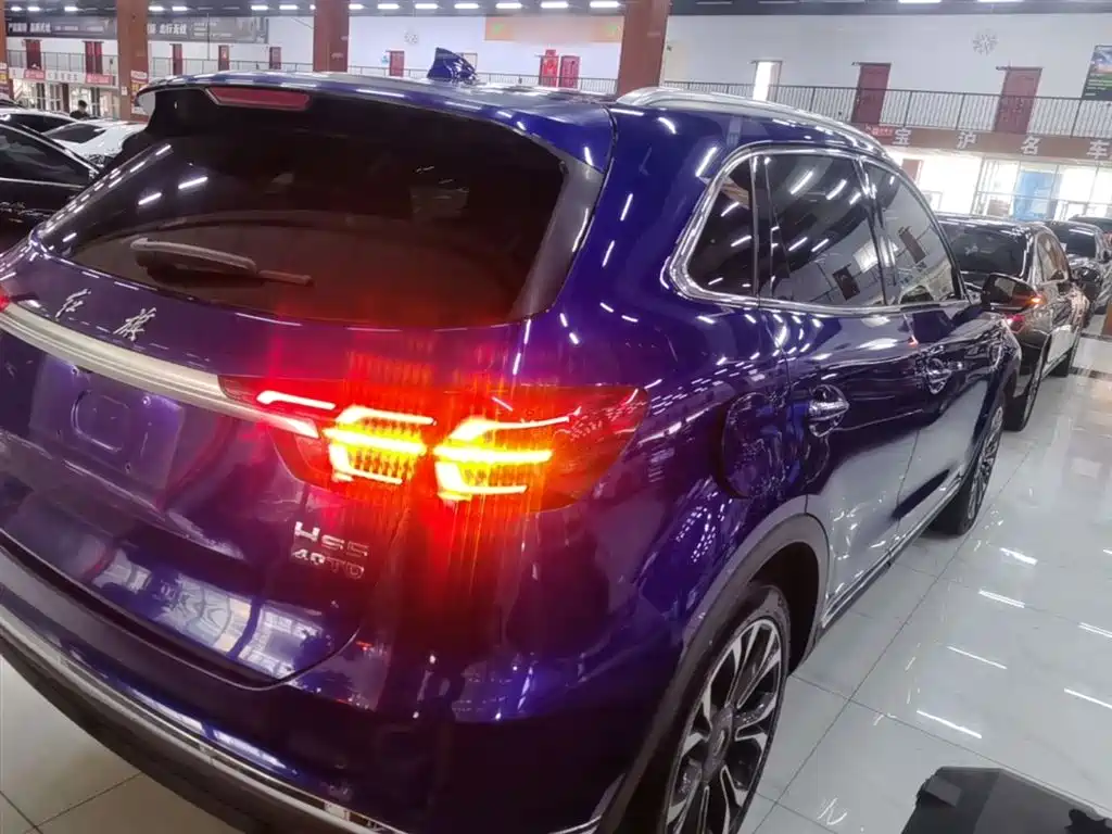 Hongqi HS5 2019 2.0T Smart Connect Enjoy 4WD Edition фото 7