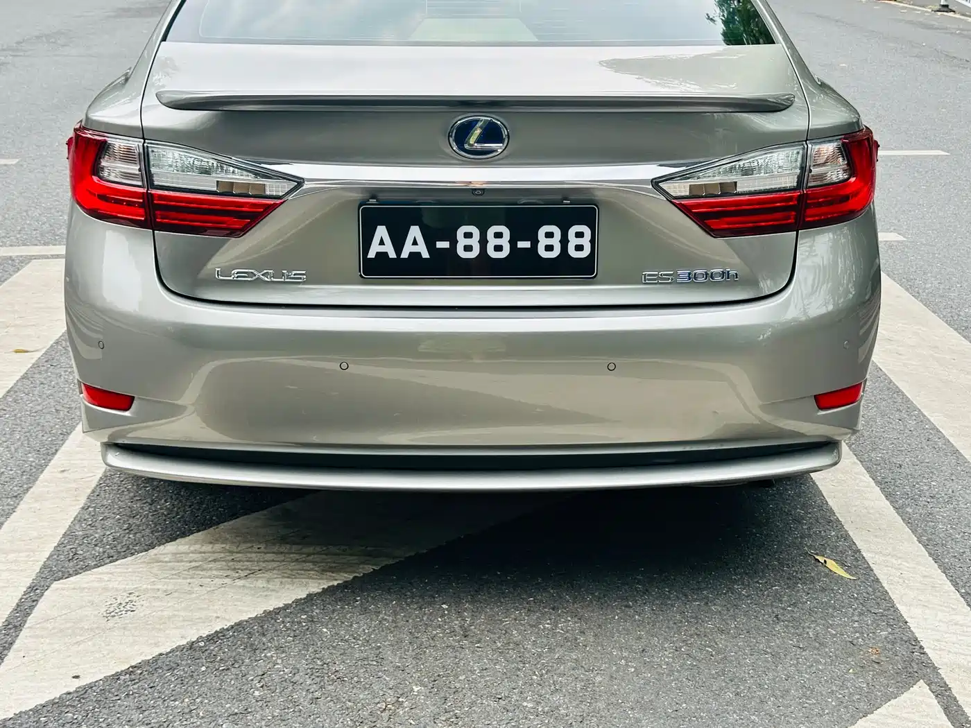 Lexus ES 2015 300h Comfort Edition фото 10