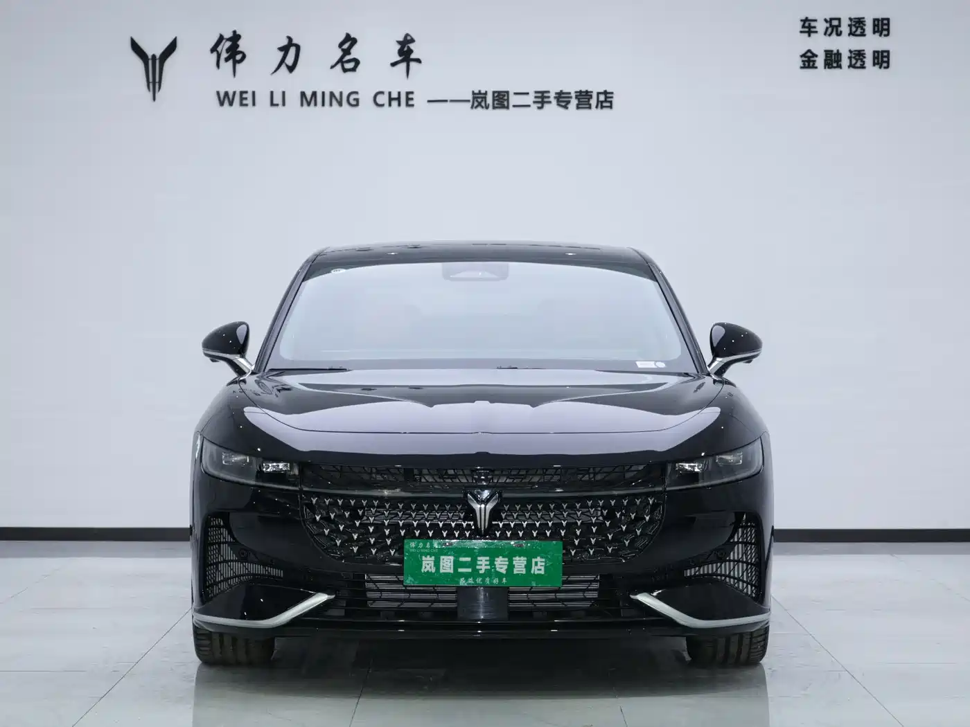 Voyah Auto VOYAH Zhuiguang 2024 PHEV AWD Ultra Long Range Flagship фото 2