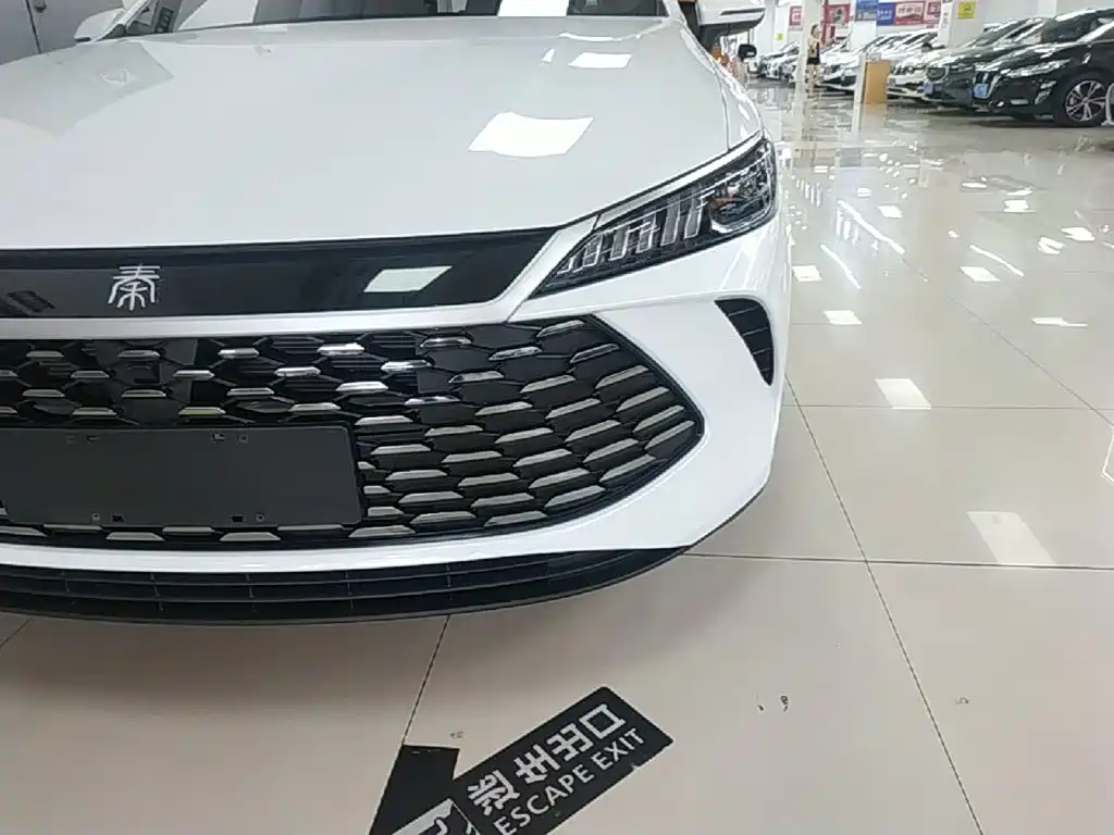 Фото 24 - BYD Qin PLUS