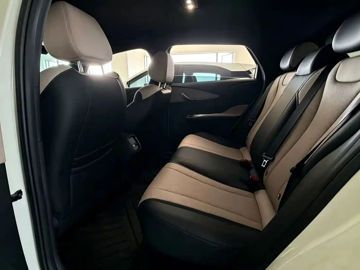 BYD Dolphin 2026 2025 Smart Drive Edition 420km Freedom Version