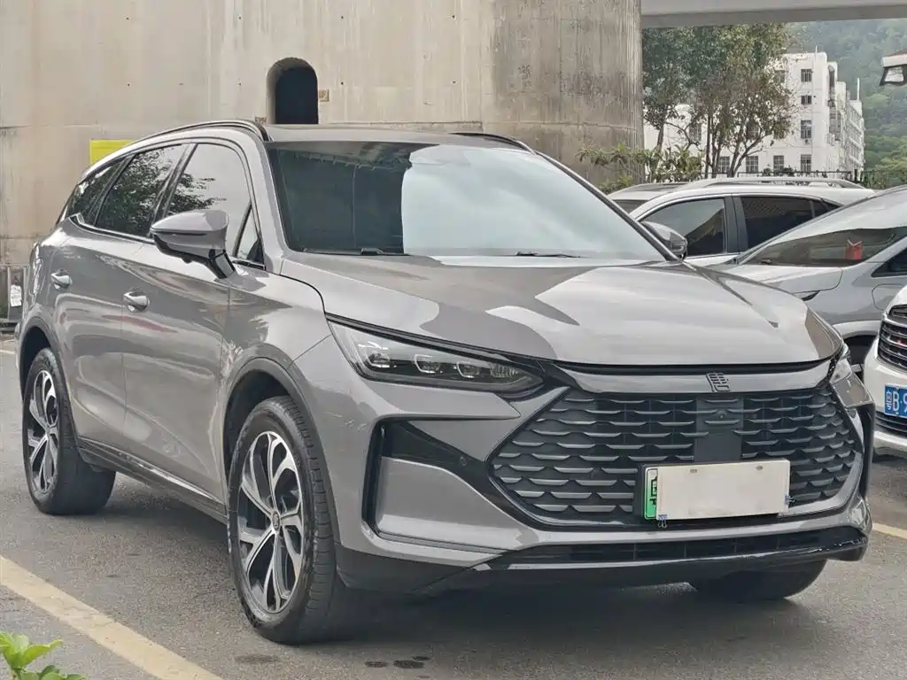 BYD Tang New Energy 2025 DM-i 115KM Flagship фото 3