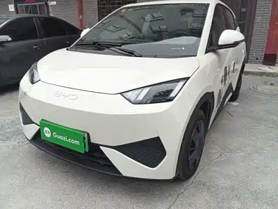 BYD Seagull