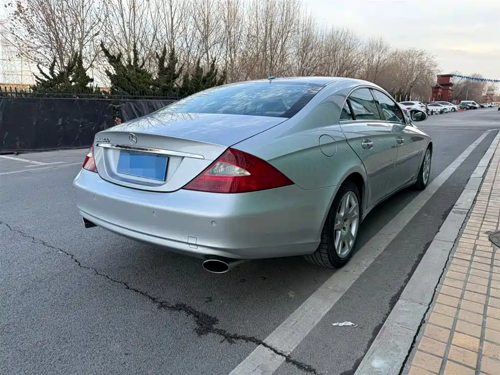 Mercedes-Benz CLS 2008 CLS 350 фото 12