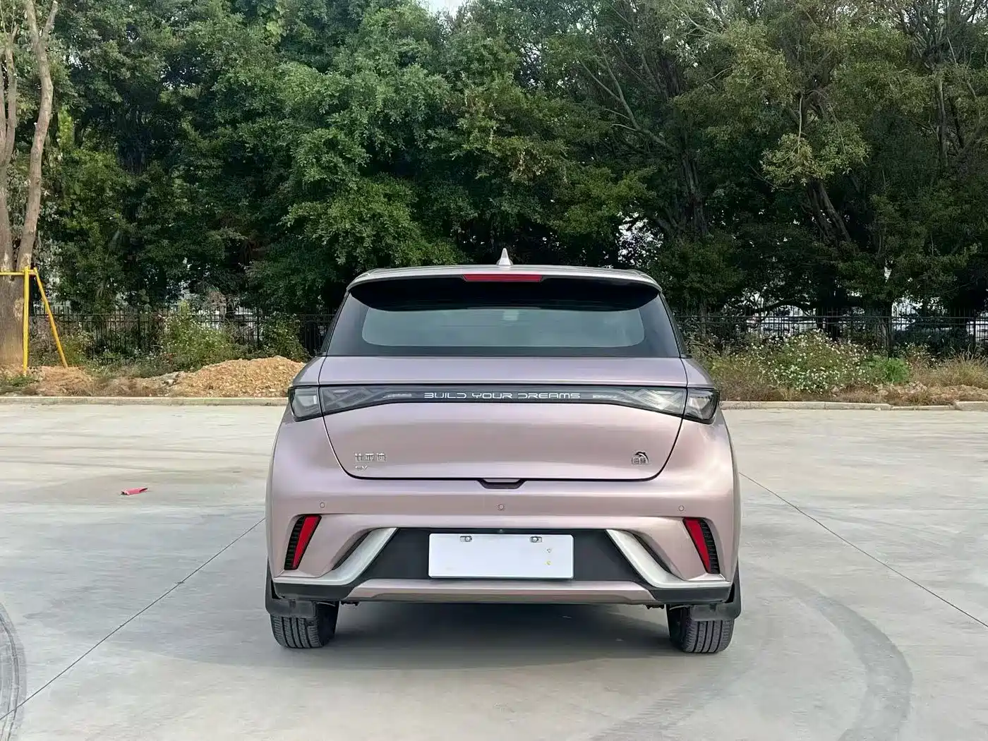 BYD Dolphin 2022 2021 Model 405km Fashion Edition