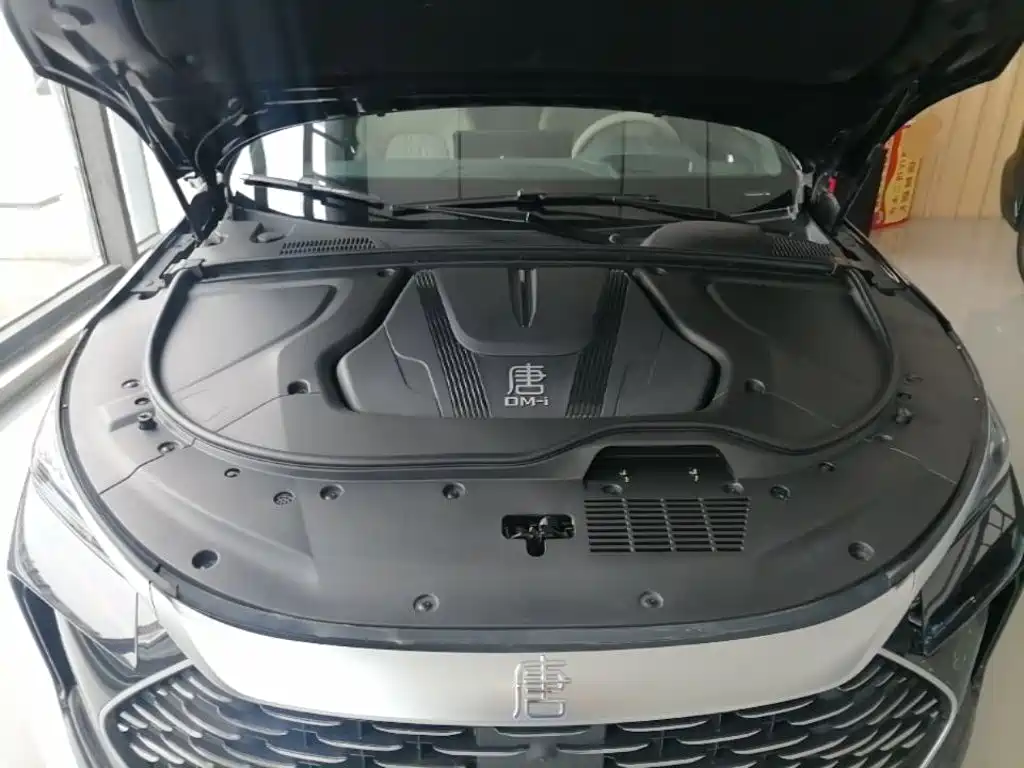 BYD Tang New Energy 2025 2025 Smart Driving Edition DM-i 115KM Flagship