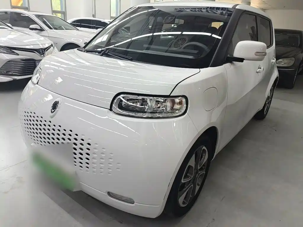 Ora White Cat 2020 305km Luxury