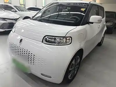 Ora White Cat