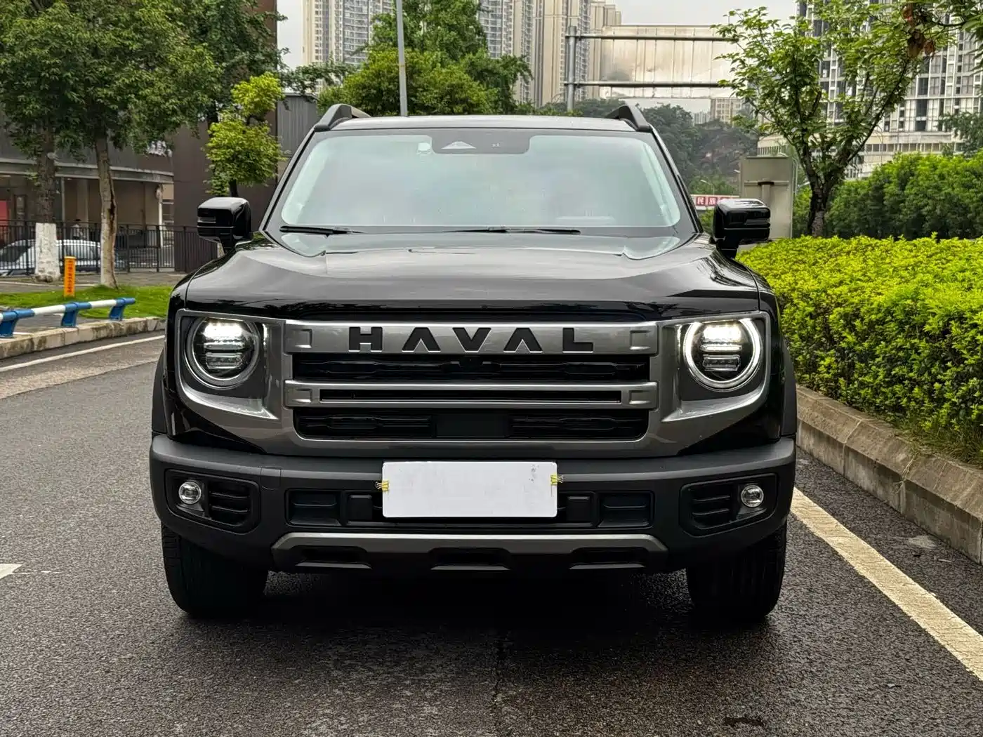 Haval Big Dog 2024 1.5T DCT Border Collie Edition фото 2