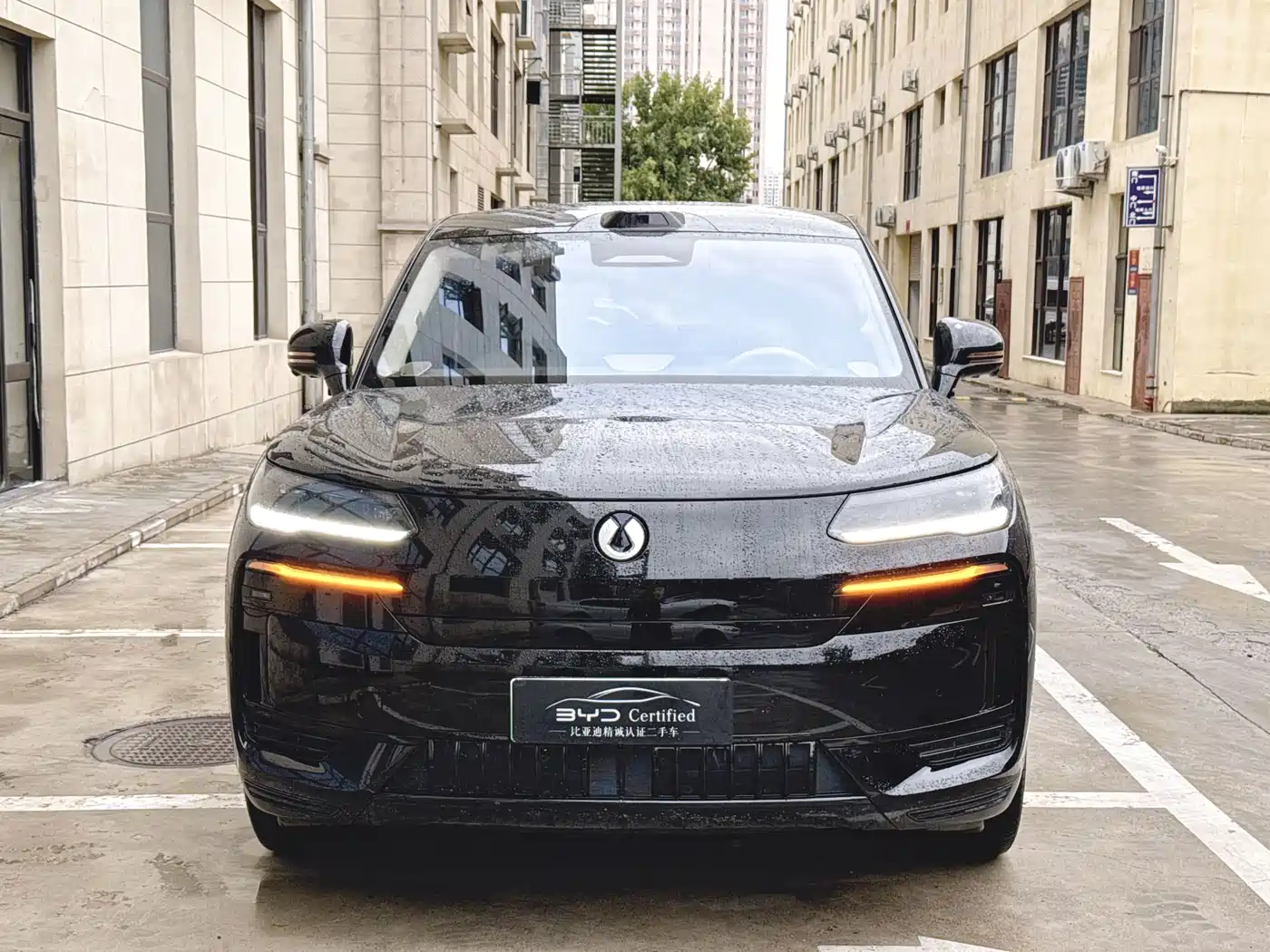 Denza N9 2025 2025 Model Prestige Edition