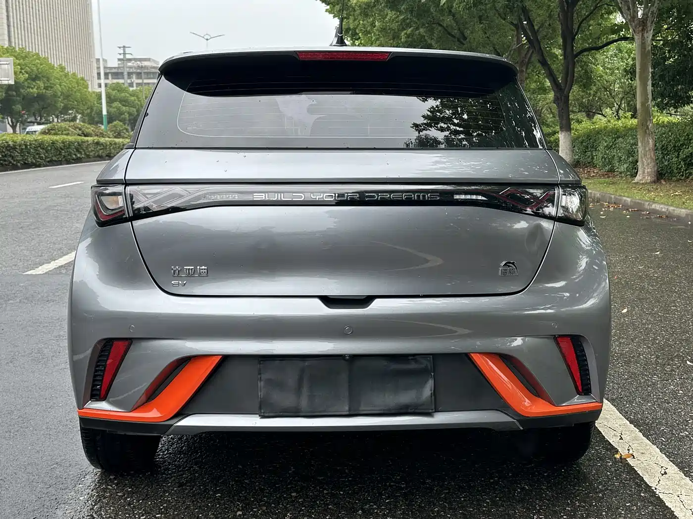 BYD Dolphin 2021 Model 405km Fashion Edition фото 4