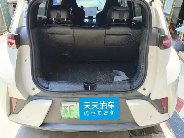 BYD Seagull 2025 Smart Drive Edition 305km Freedom Version — фото 4