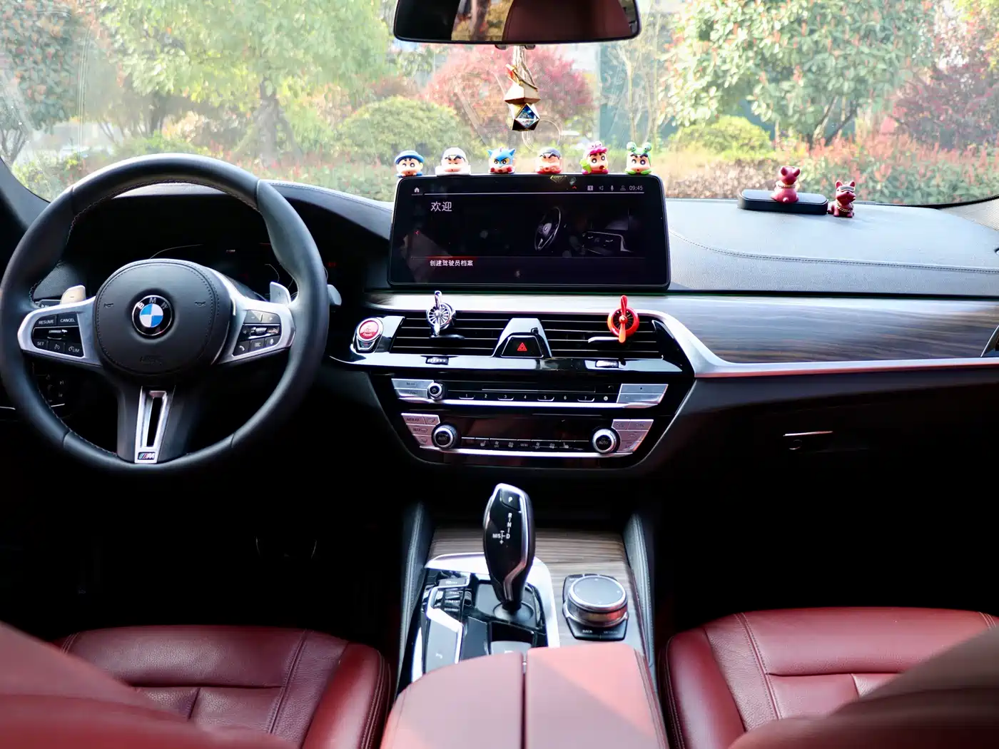 BMW 5 Series 2018 Facelift 530Li Leading M Sport Package фото 10