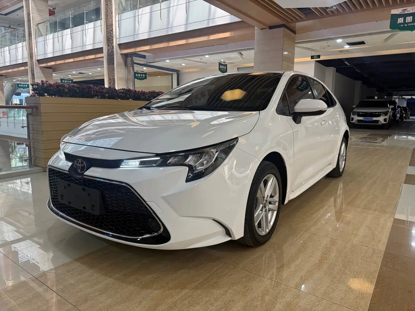 Toyota Levin