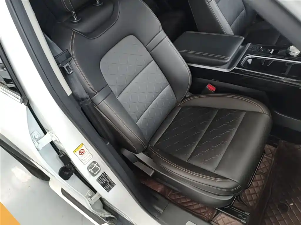 Haval Big Dog 2022 2.0T DCT AWD Chinese Pastoral Dog Edition фото 25