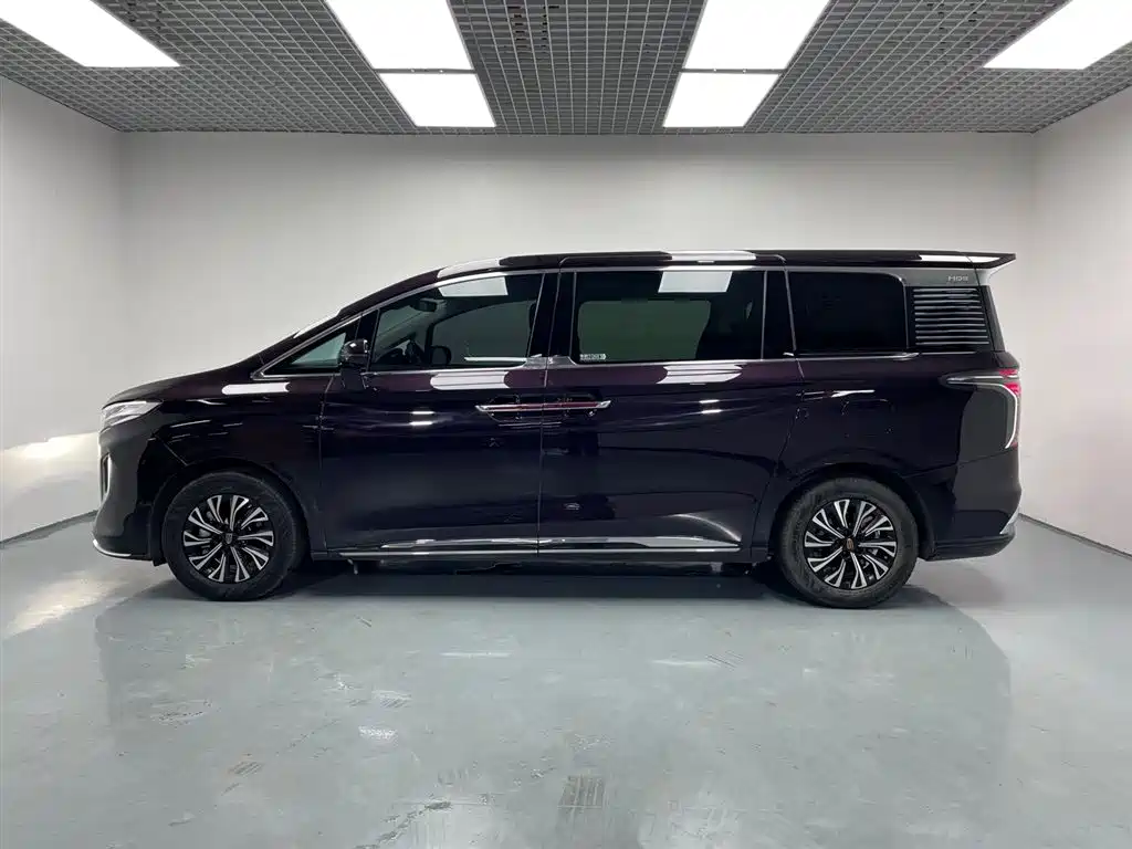Hongqi HQ9 PHEV 2024 Model 2.0T AWD Luxury Edition фото 5