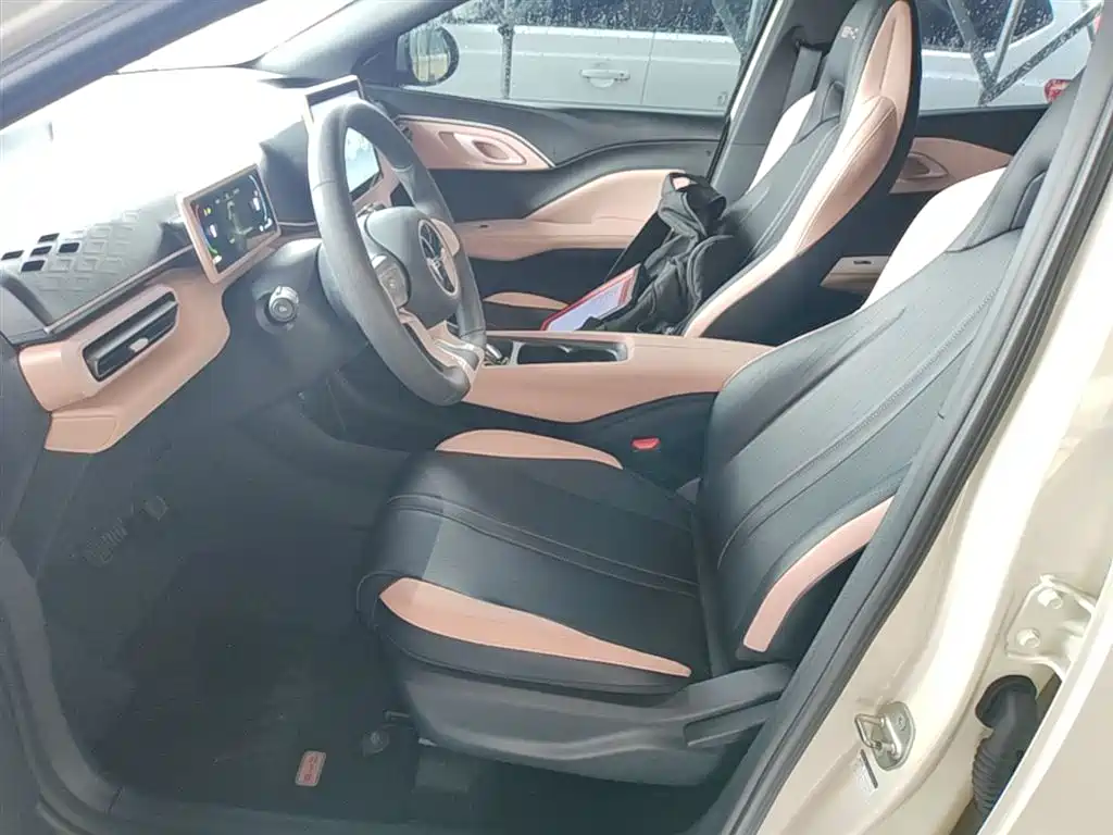 BYD Seagull 2024 Glory Edition 305km Vitality Edition фото 15