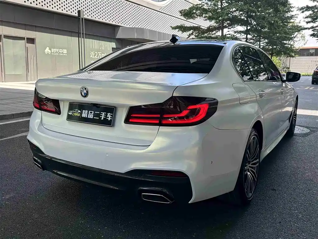 BMW 5 Series 2019 530Li Leading M Sport Package фото 7