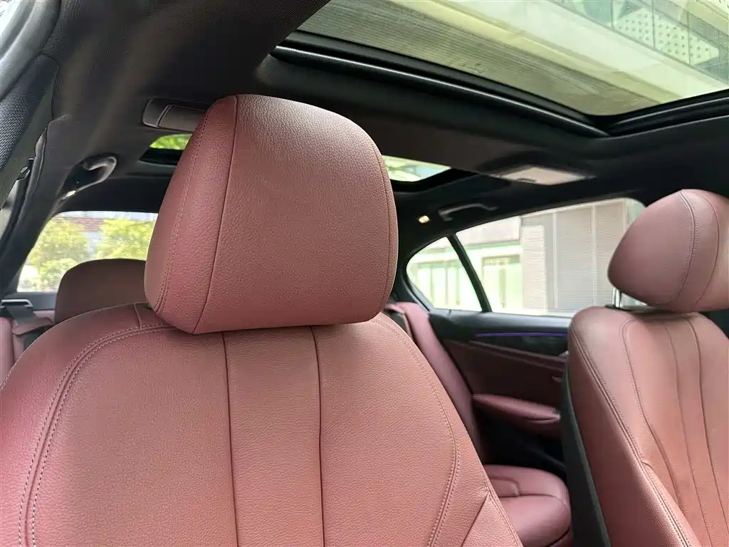 BMW 5 Series 2019 530Li Leading M Sport Package фото 20