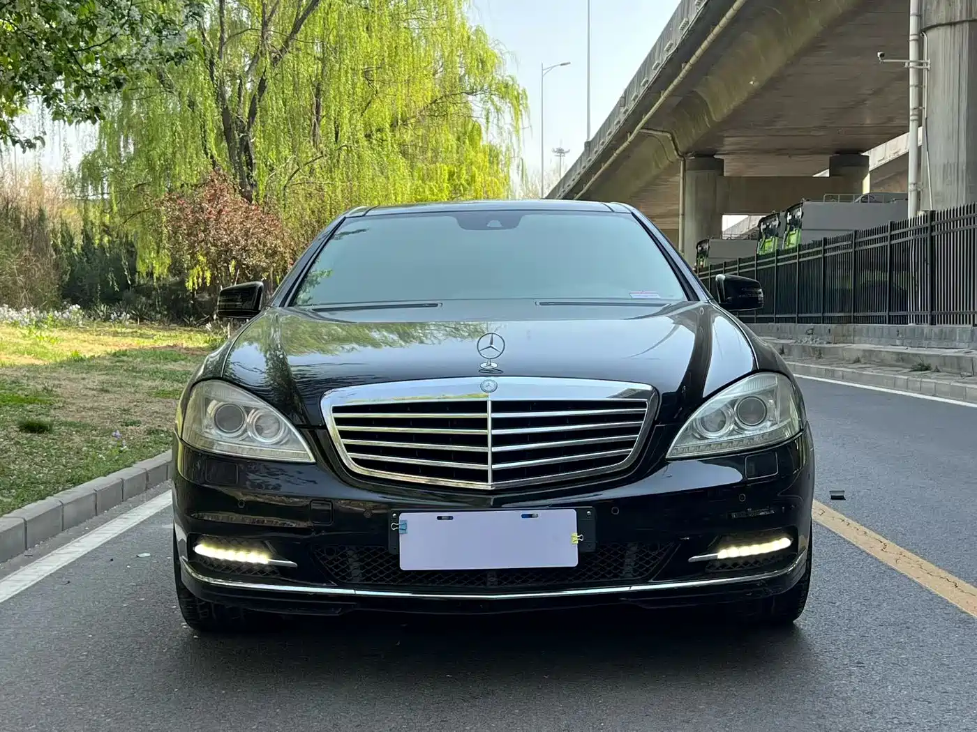 Mercedes-Benz S-Class 2010 S 300 L Luxury фото 2