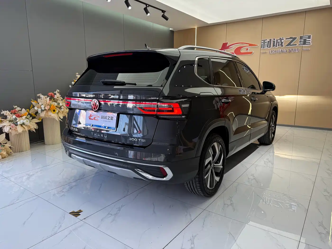 Volkswagen Tharu, миниатюра 7