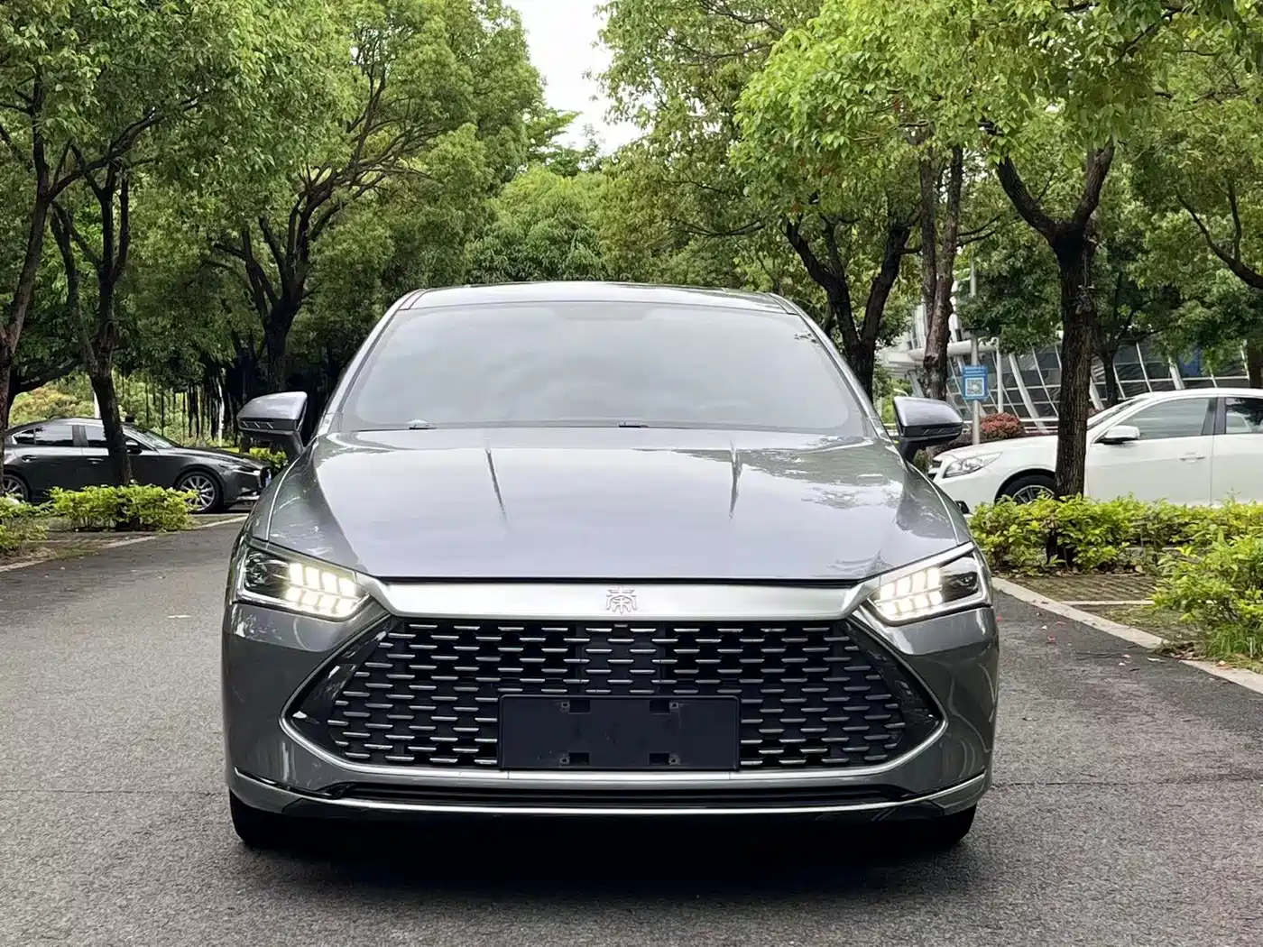 BYD Qin PLUS 2021 DM-i 55KM Flagship фото 2